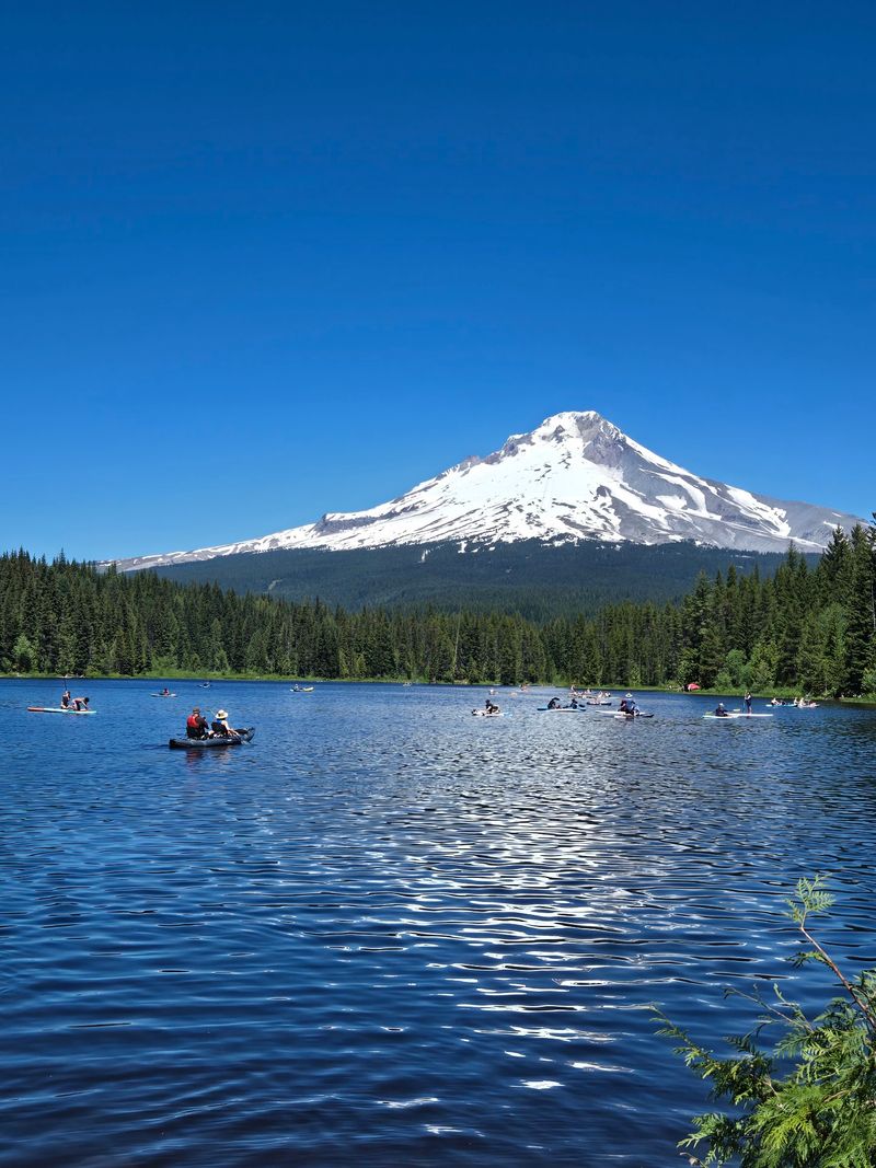 Mount Hood Steals The Skyline