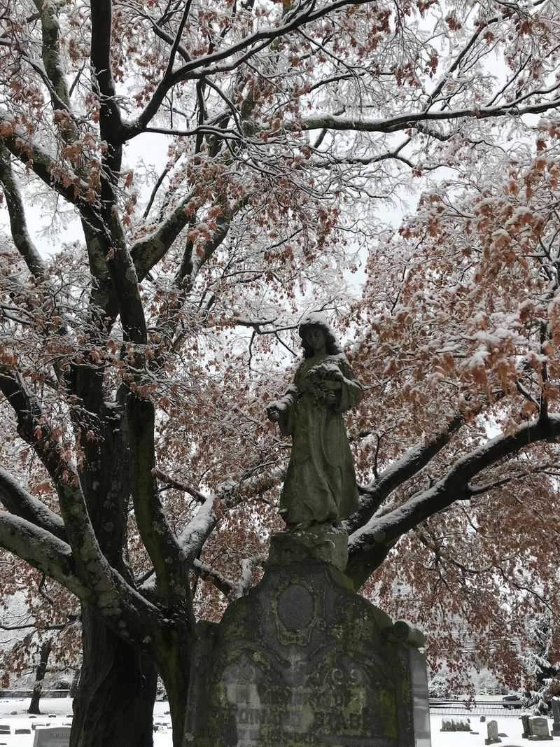 Mount Hope Cemetery