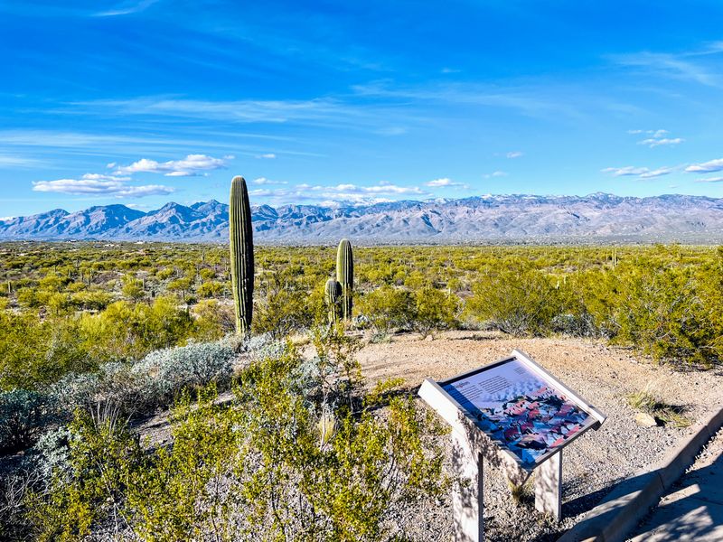 Saguaro National Park (Tucson Area)