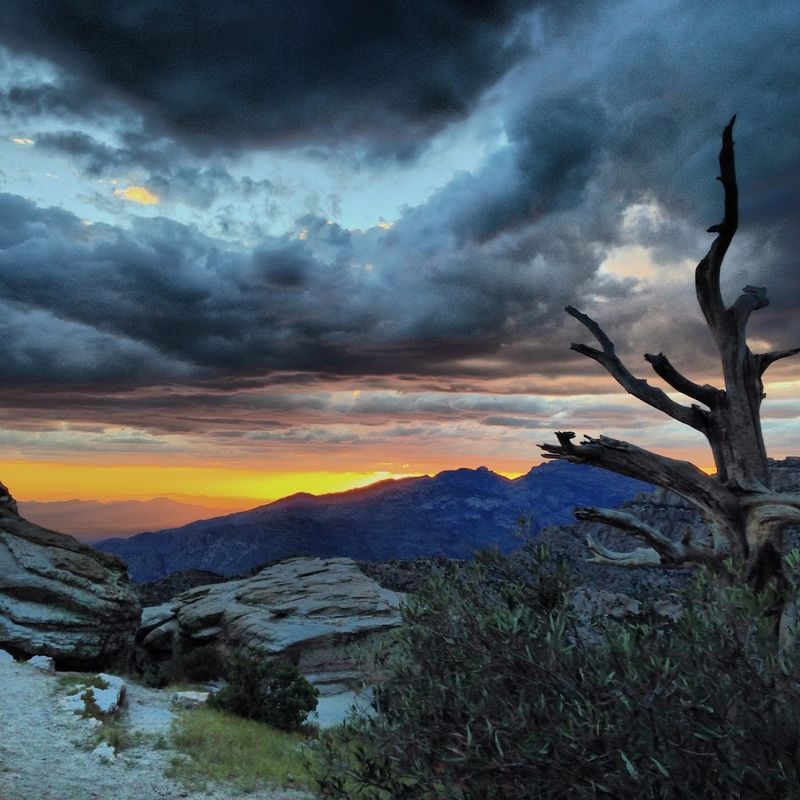 Best Times To Drive And What To Expect Each Season