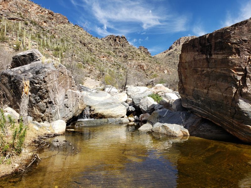Sabino Canyon