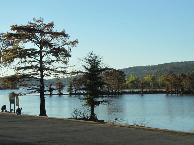 Tree Lined Peninsula Silhouette
