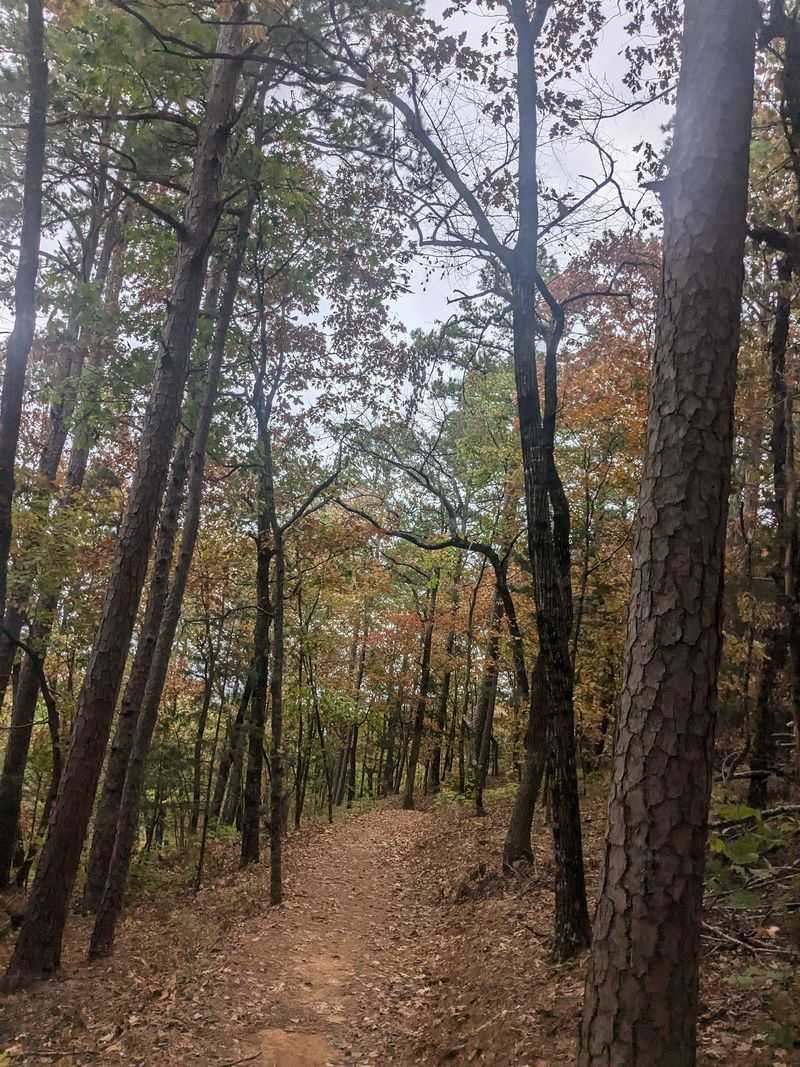 Mount Nebo State Park