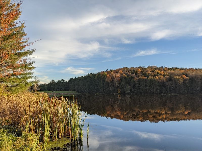 Mount Pisgah State Park, Bradford County
