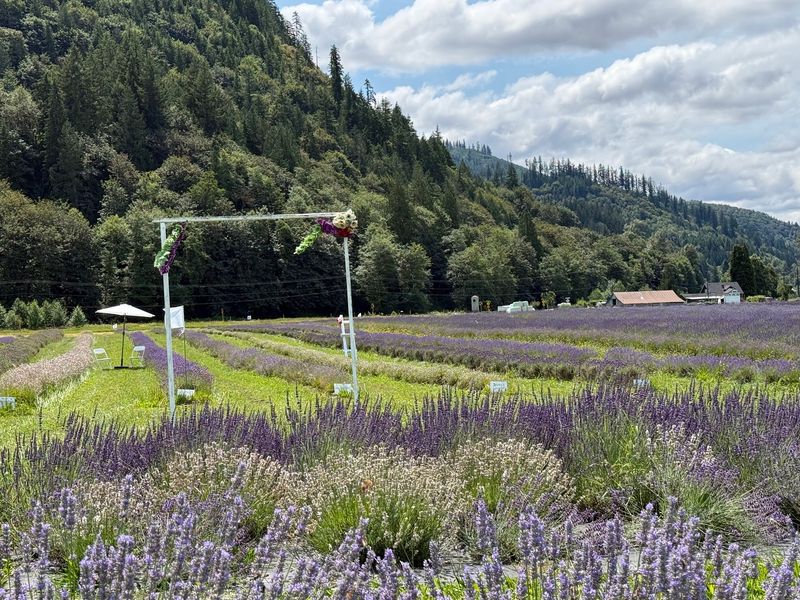 Mount River Farm, Arlington, WA