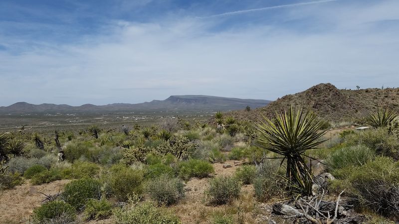 Mount Tipton Wilderness, Near Dolan Springs