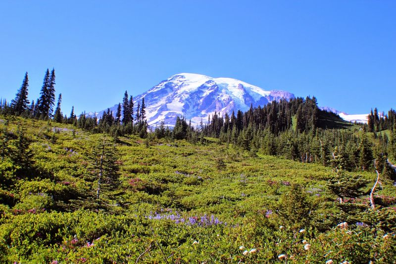 Mountain And Sound Views Mountain And Sound Views