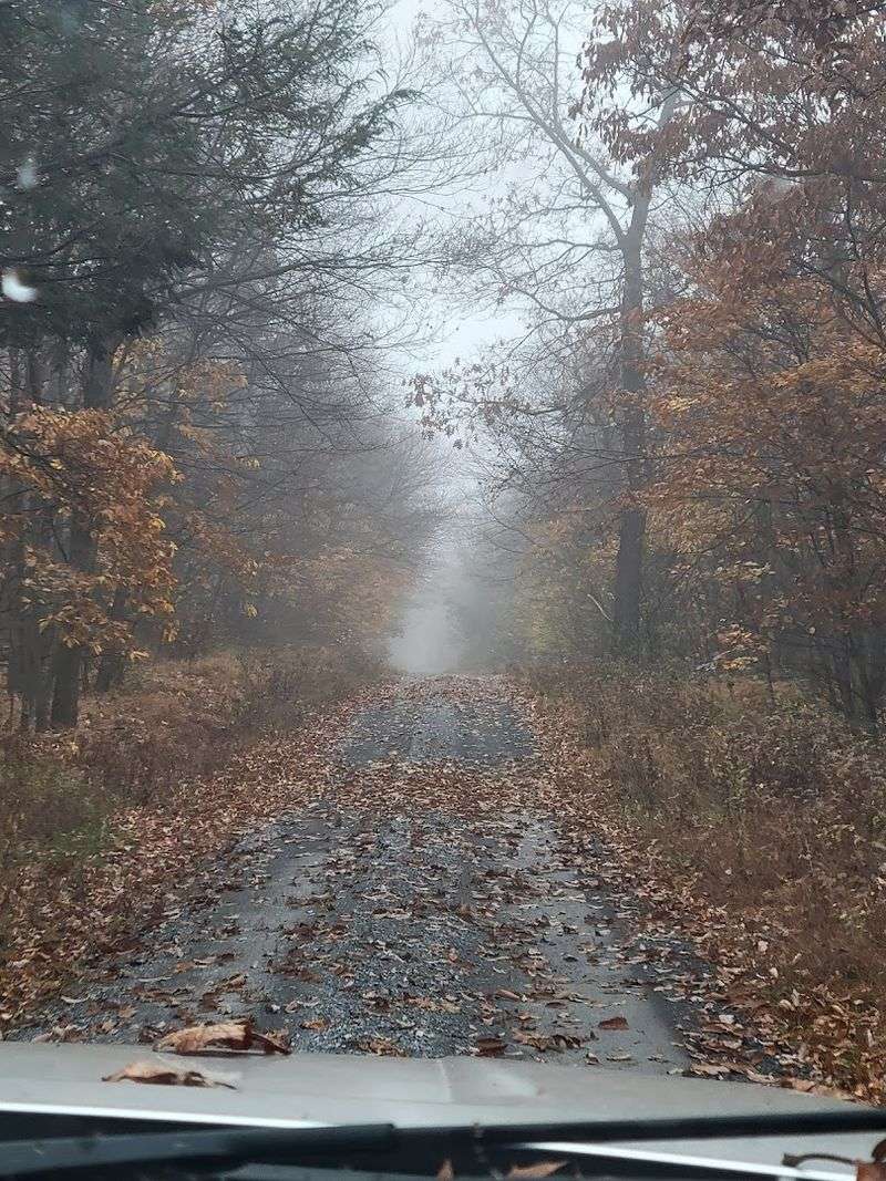 Oregon Camp Is A Hidden Highlight Worth Seeking Out