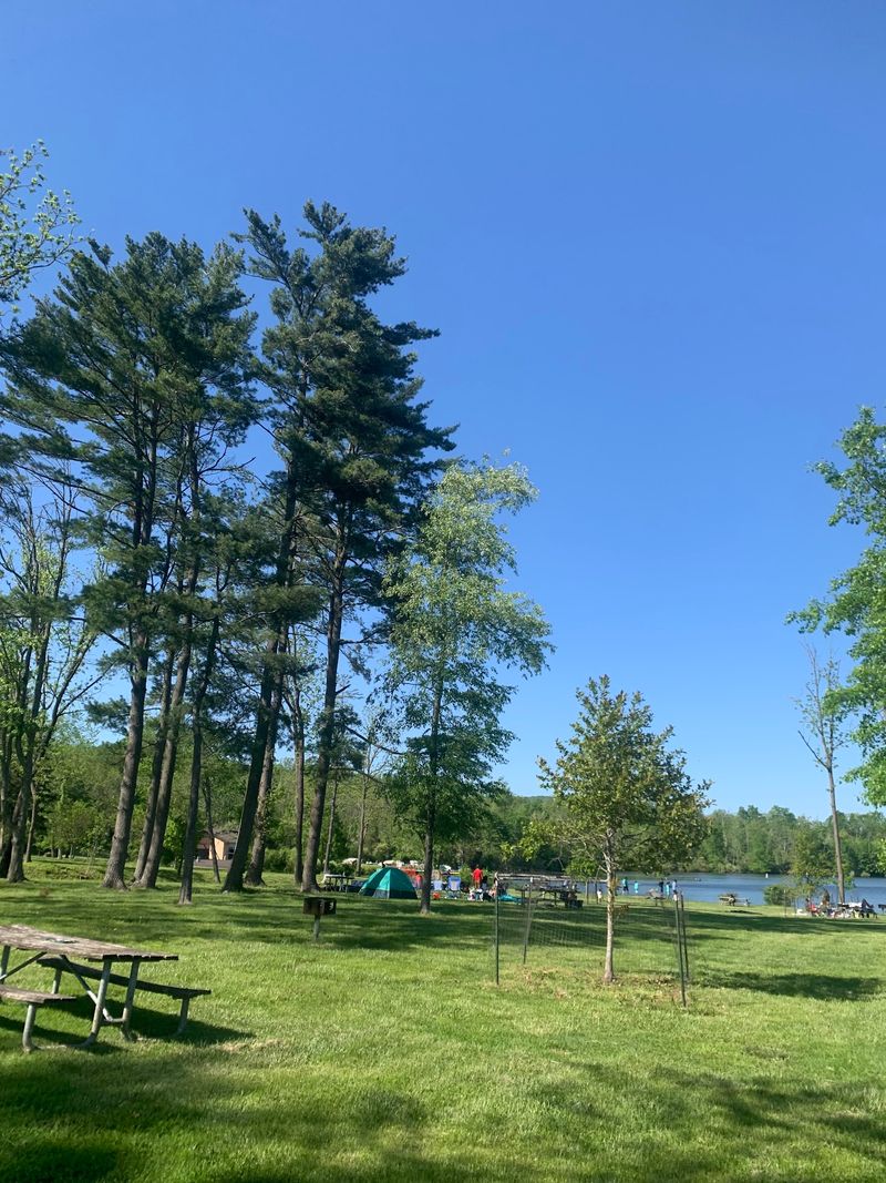 Mountain Biking, Disc Golf, And A Smooth Paved Loop