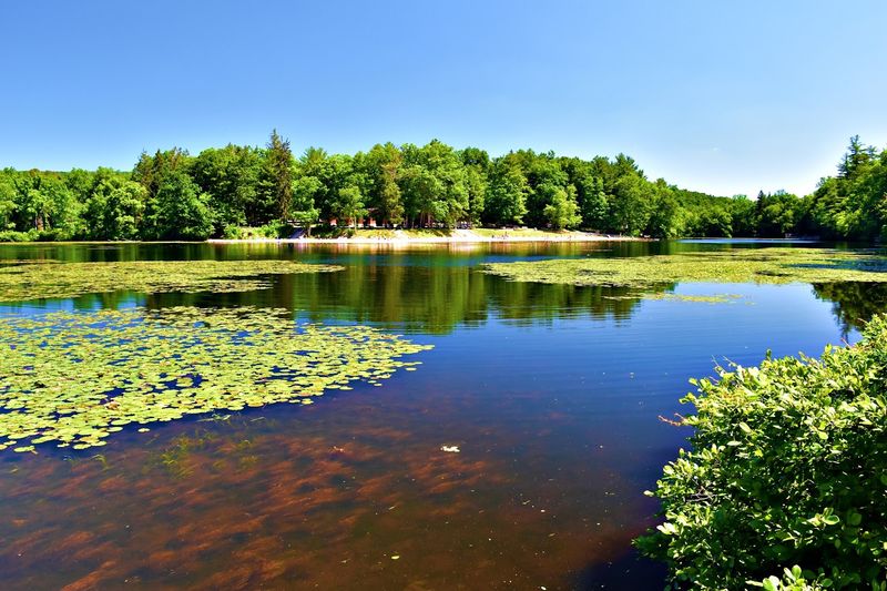 Fishing at Laurel Lake