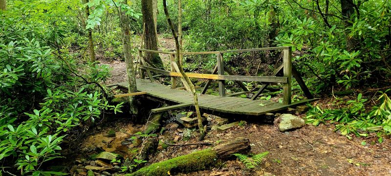 Mountain Biking Terrain That Rivals Dedicated Bike Parks Mountain Biking Terrain That Rivals Dedicated Bike Parks