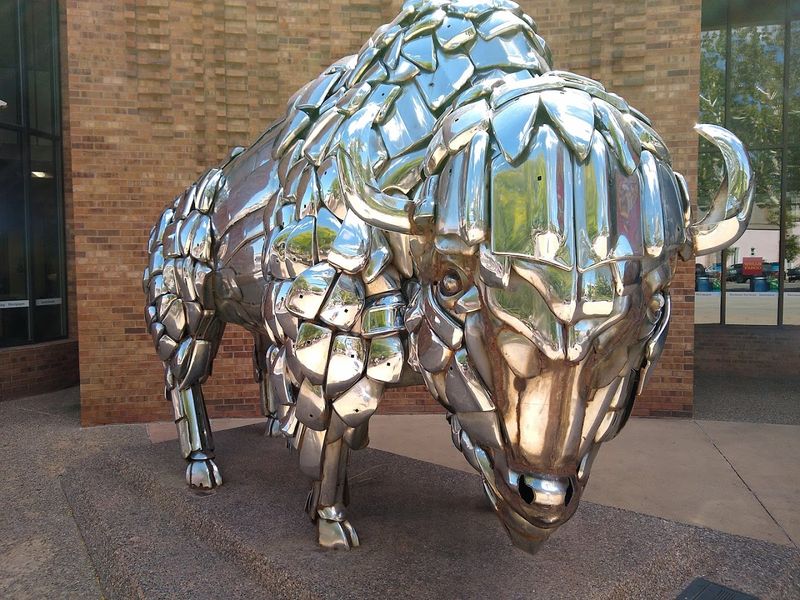 Spring Wildflowers and Desert Bloom Worth Timing Right