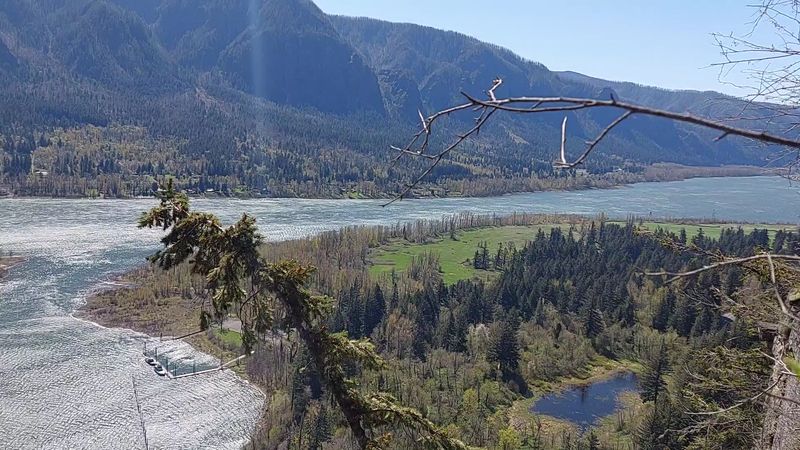 Wildlife Watching And Natural Beauty