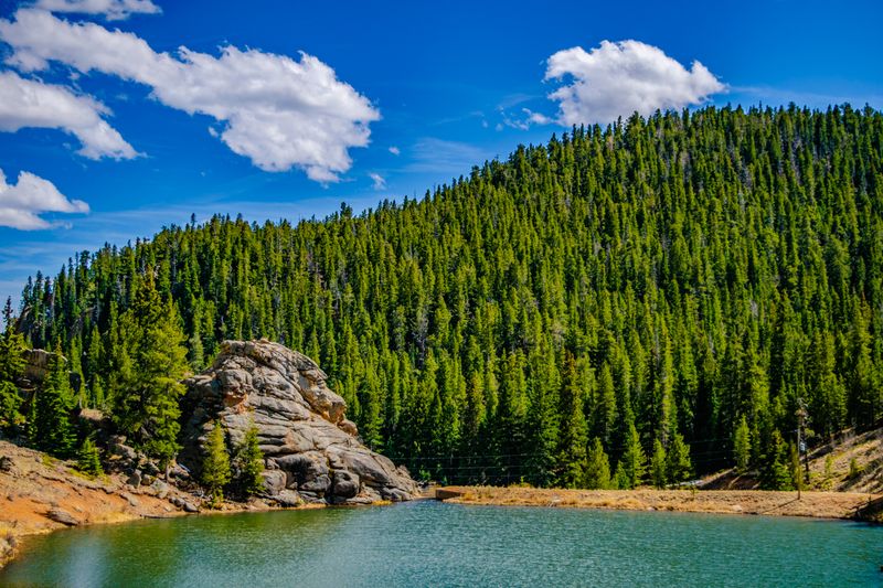Mountain Biking With Actual Elevation And Actual Reward