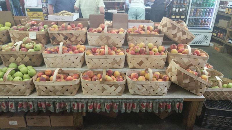 Mountain-Grown Peaches That Actually Taste Like Summer Mountain-Grown Peaches That Actually Taste Like Summer