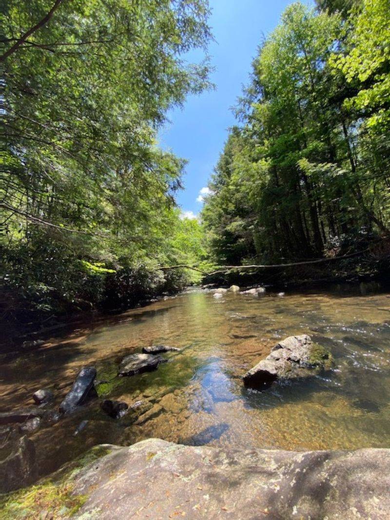 Mountain Streams That Steal The Show Mountain Streams That Steal The Show
