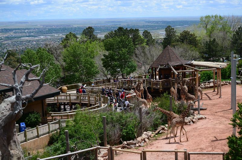 Grizzly Grill at Cheyenne Mountain Zoo