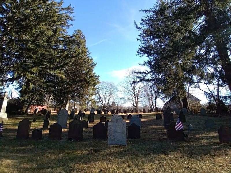 Mouth Cemetery's Stories Among The Trees