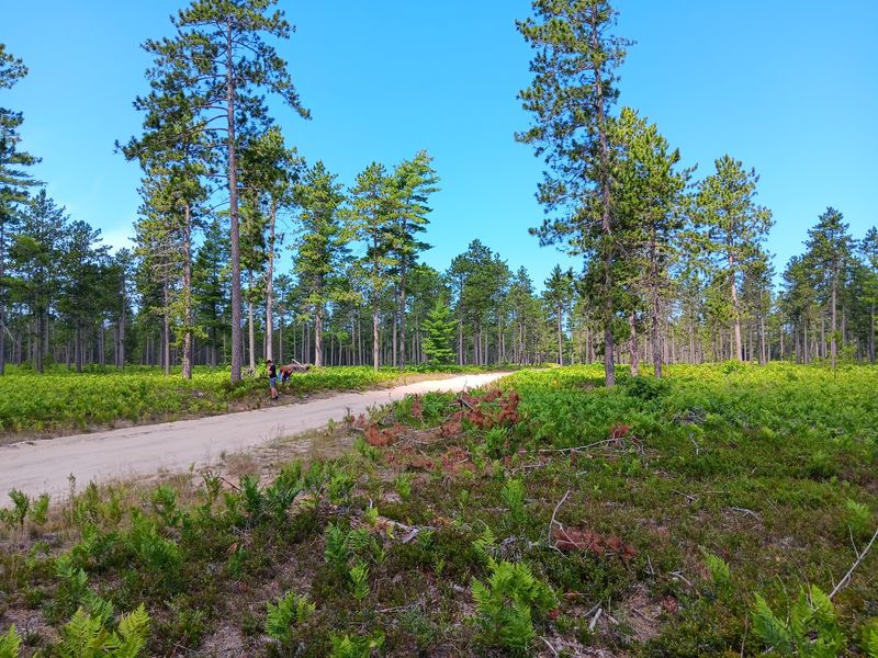 Mouth Of Two Hearted River State Forest Campground - Newberry Area Mouth Of Two Hearted River State Forest Campground - Newberry Area