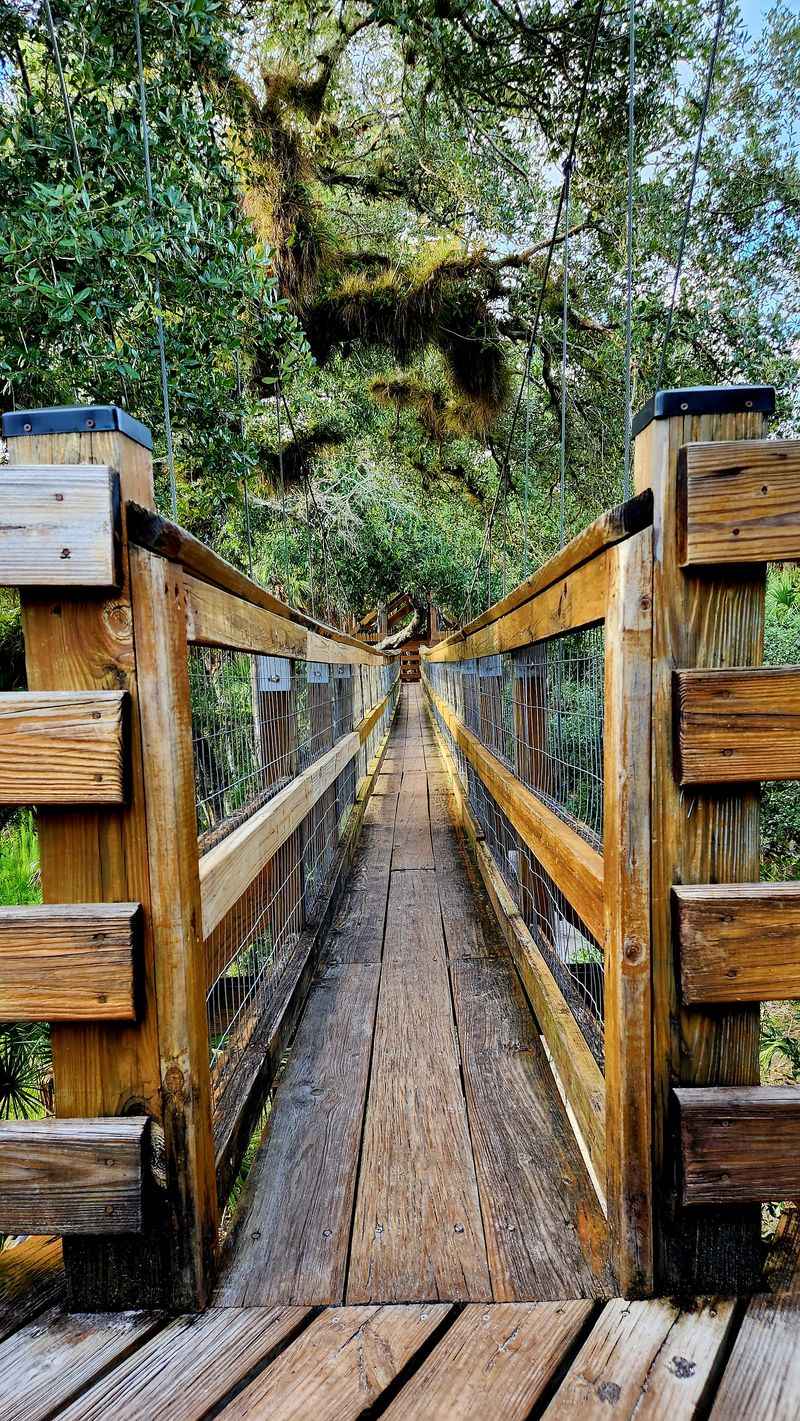 Learn The Backstory Before You Go