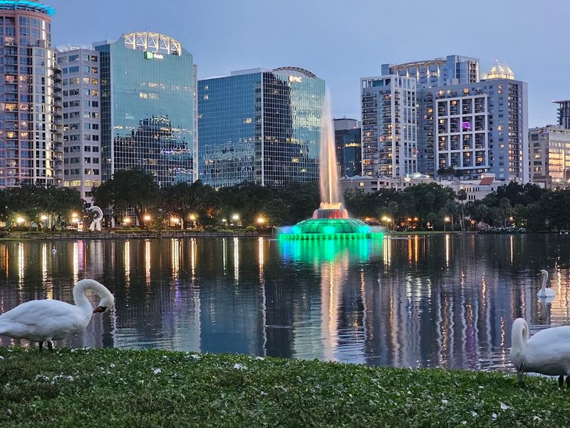 Movies in the Park at Lake Eola Movies in the Park at Lake Eola