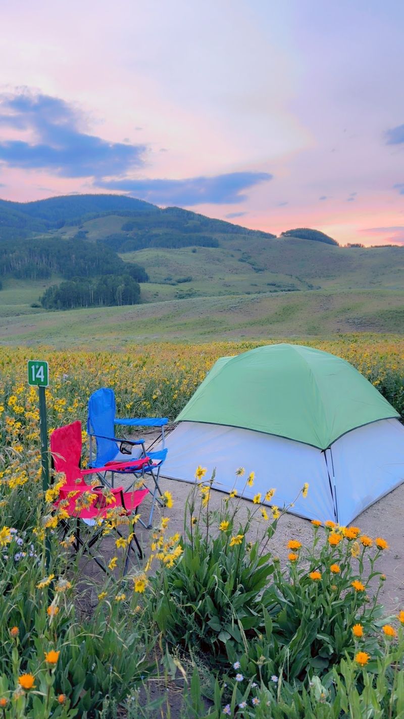 Mt Crested Butte Campground, Crested Butte, CO