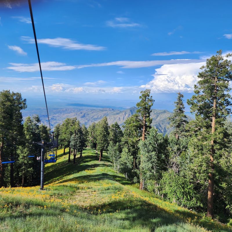 Mt Lemmon Ski Valley, Mt Lemmon, AZ