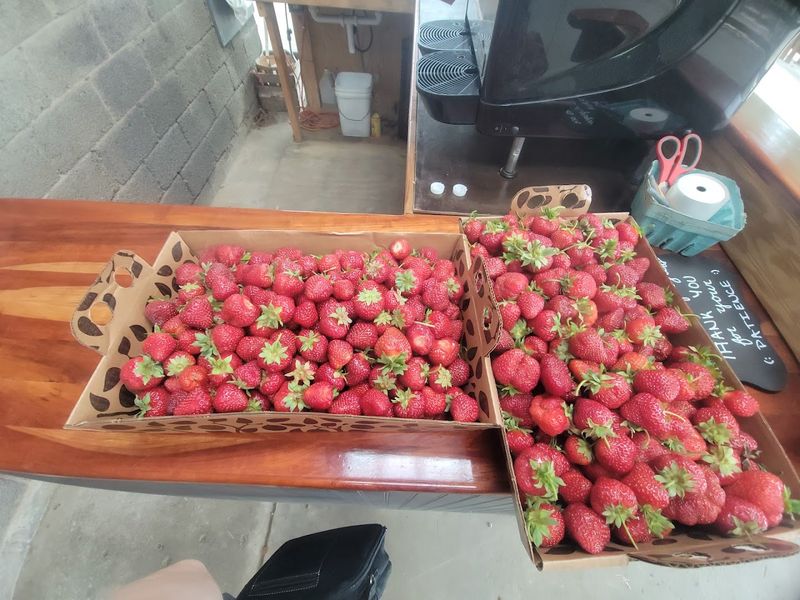 Shaw Orchards, Stewartstown