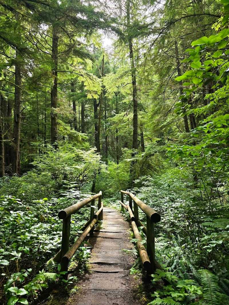 Mud, Boardwalks, And Coastal Forest Magic