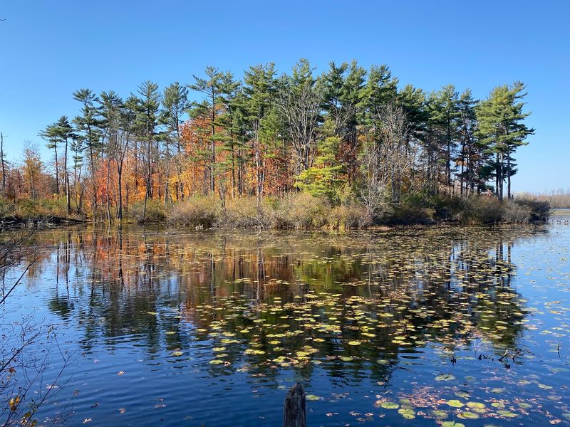Mud Lake Open Space