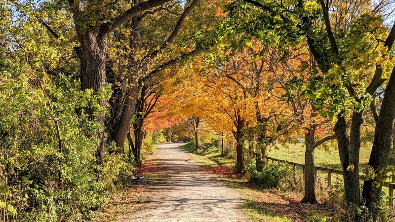 Muddy Boots, Oak Trees, And Room To Roam Muddy Boots, Oak Trees, And Room To Roam