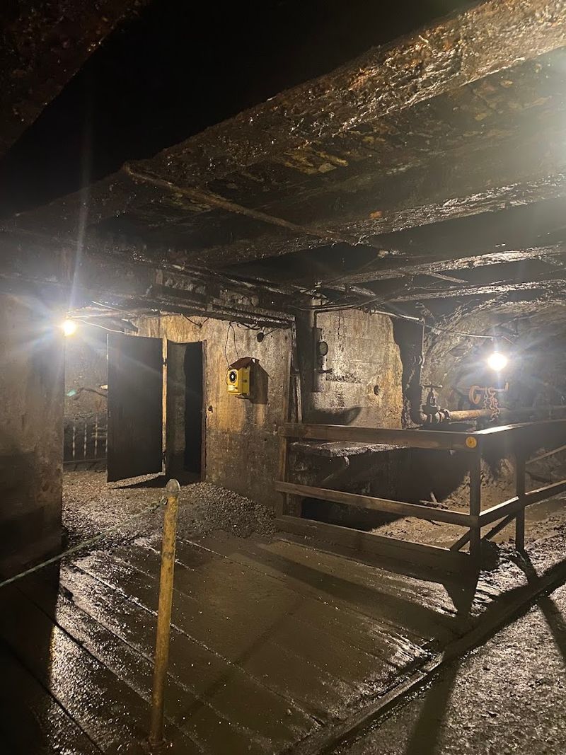 Complete Darkness Demonstration Experience