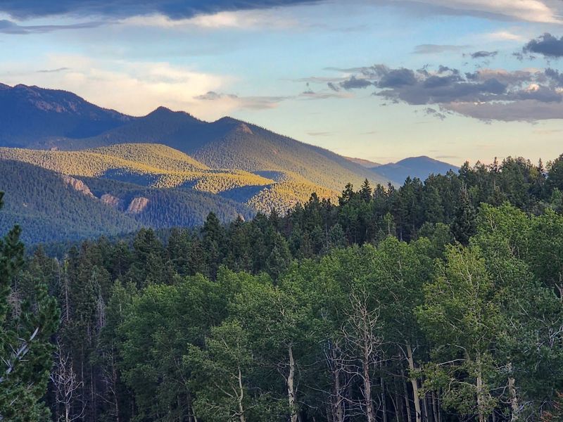 Mueller State Park
