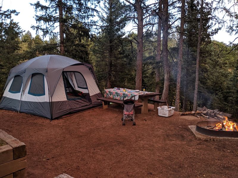 Mueller State Park, Divide, CO Mueller State Park, Divide, CO