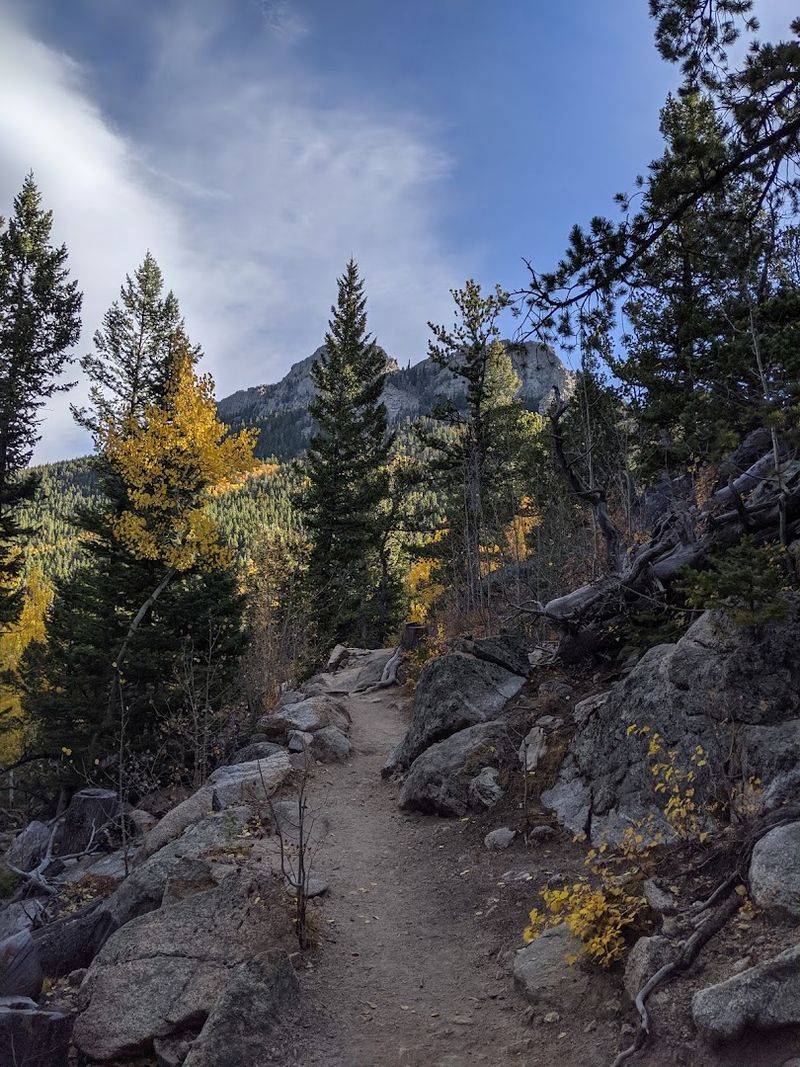 Mule Deer Trail And The Reward Of Going Slightly Off Script Mule Deer Trail And The Reward Of Going Slightly Off Script