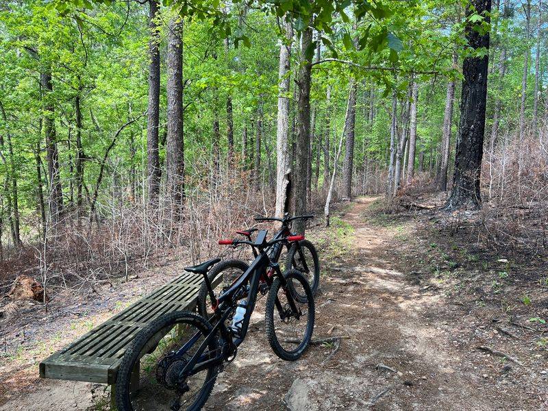Multi-Use Trails Mean More Ground-Level Contact Points