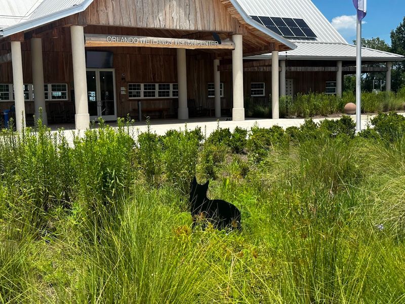 Visitor Center Provides Essential Resources