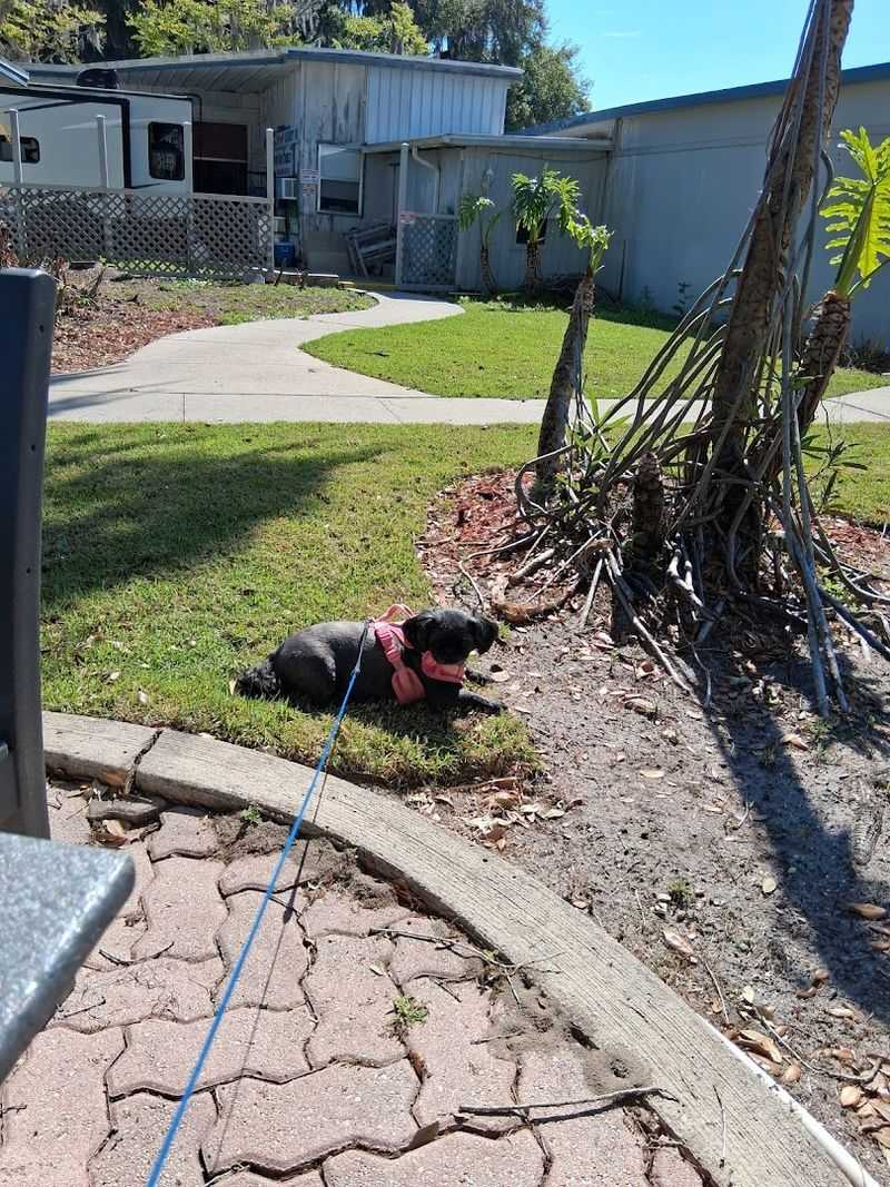 Camping Options Range From Tent Sites To Cozy Cabins