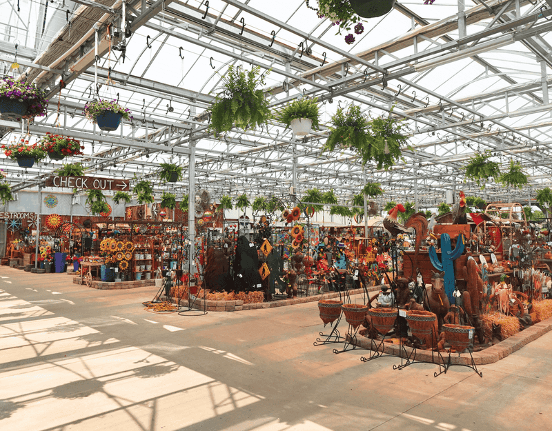 Mums, Funland, And Holiday Sparkle