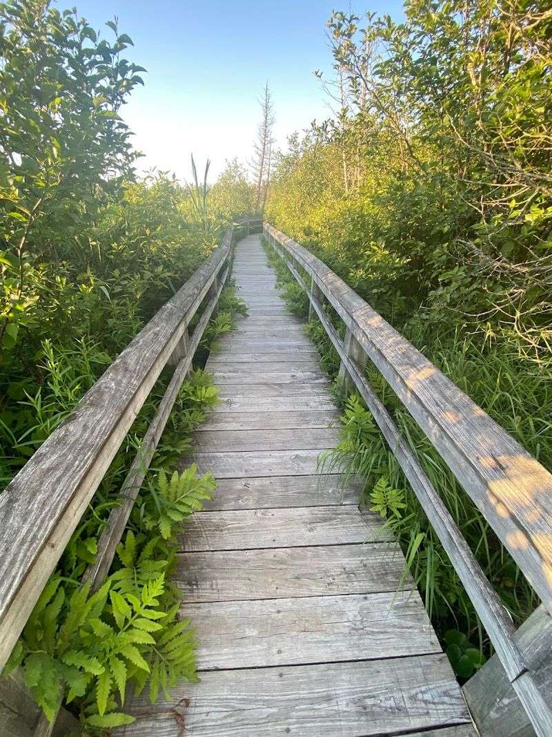 Munising Falls And Sand Point Marsh Trail, Pictured Rocks National Lakeshore