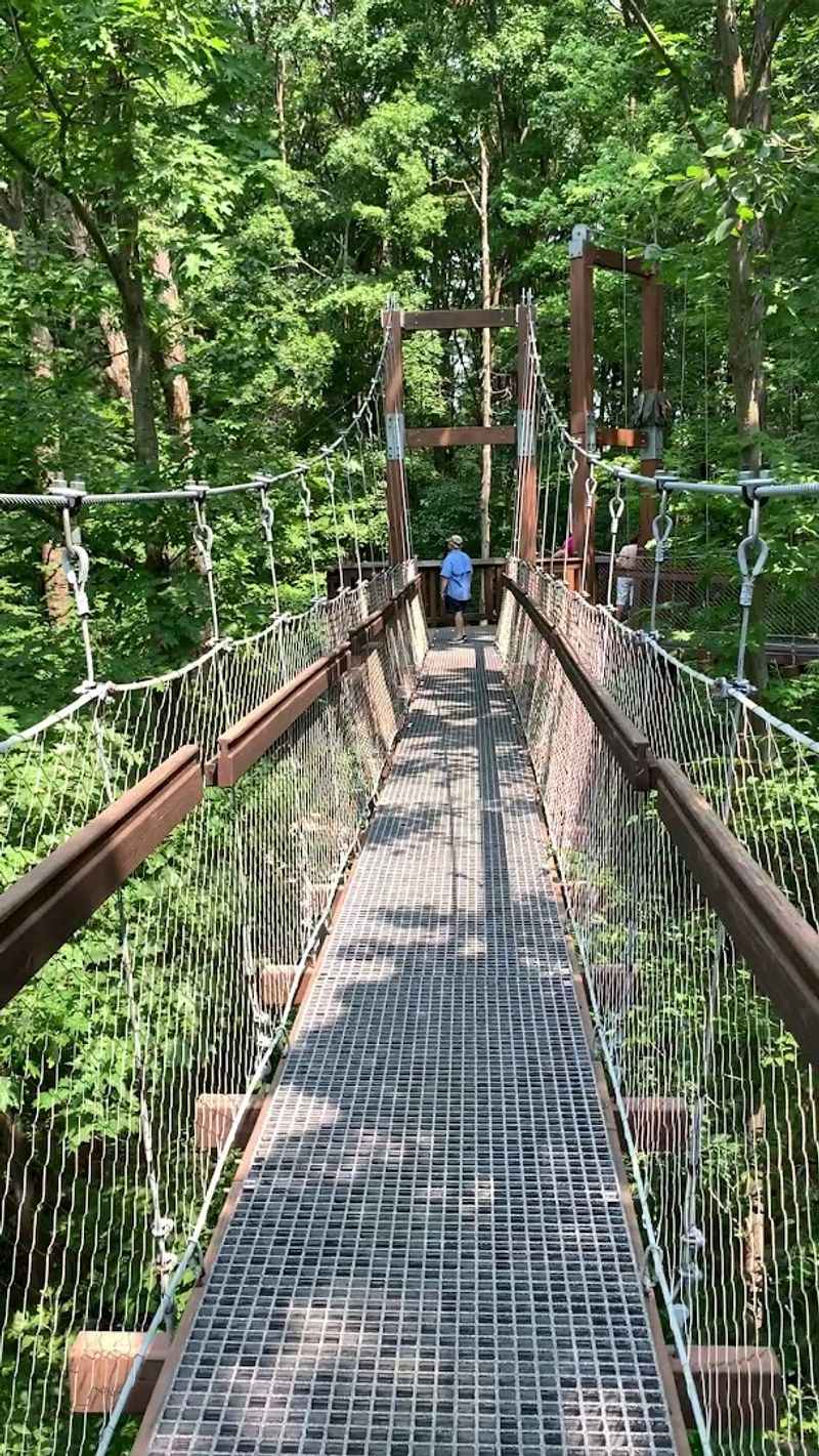 Murch Canopy Walk At Holden Arboretum, Kirtland