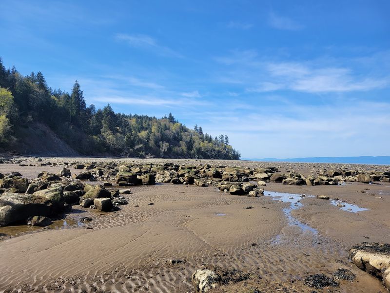 Murdock Beach, Near Joyce