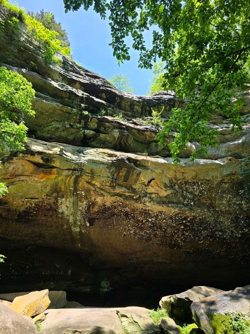 Murphysboro To Carbondale Loop Murphysboro To Carbondale Loop