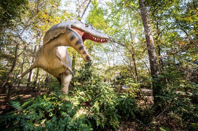 Museum Of Life And Science