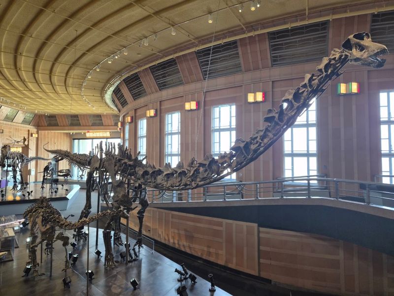 Museum Of Natural History And Science At Cincinnati Museum Center, Cincinnati