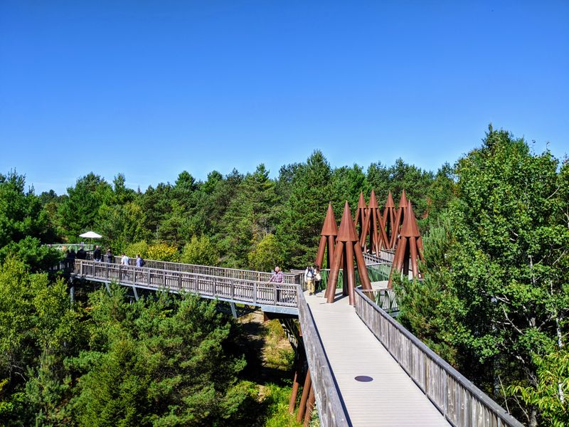 The Wild Center & Wild Walk (Tupper Lake, Adirondacks)