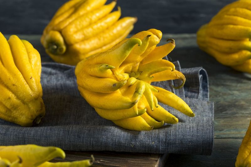 Buddha's Hand Citron