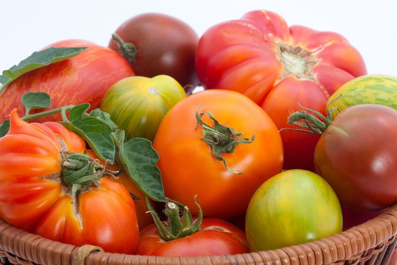 Tomatoes: Lycopene-Loaded Fruits