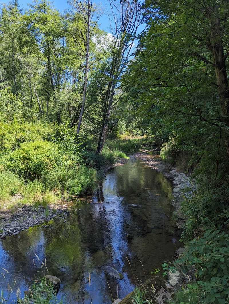 Music, Green Space, And Where To Sleep Nearby