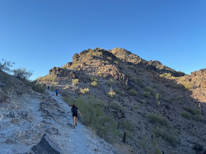 Family-Friendly Accessibility